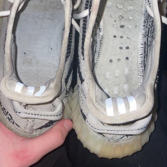 zebras - Picture 2 of 4